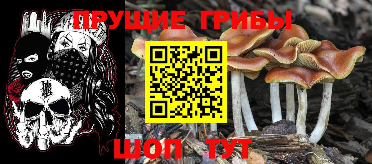Галлюциногенные грибы Magic Shrooms  Вход с VPN  Кузнецк 